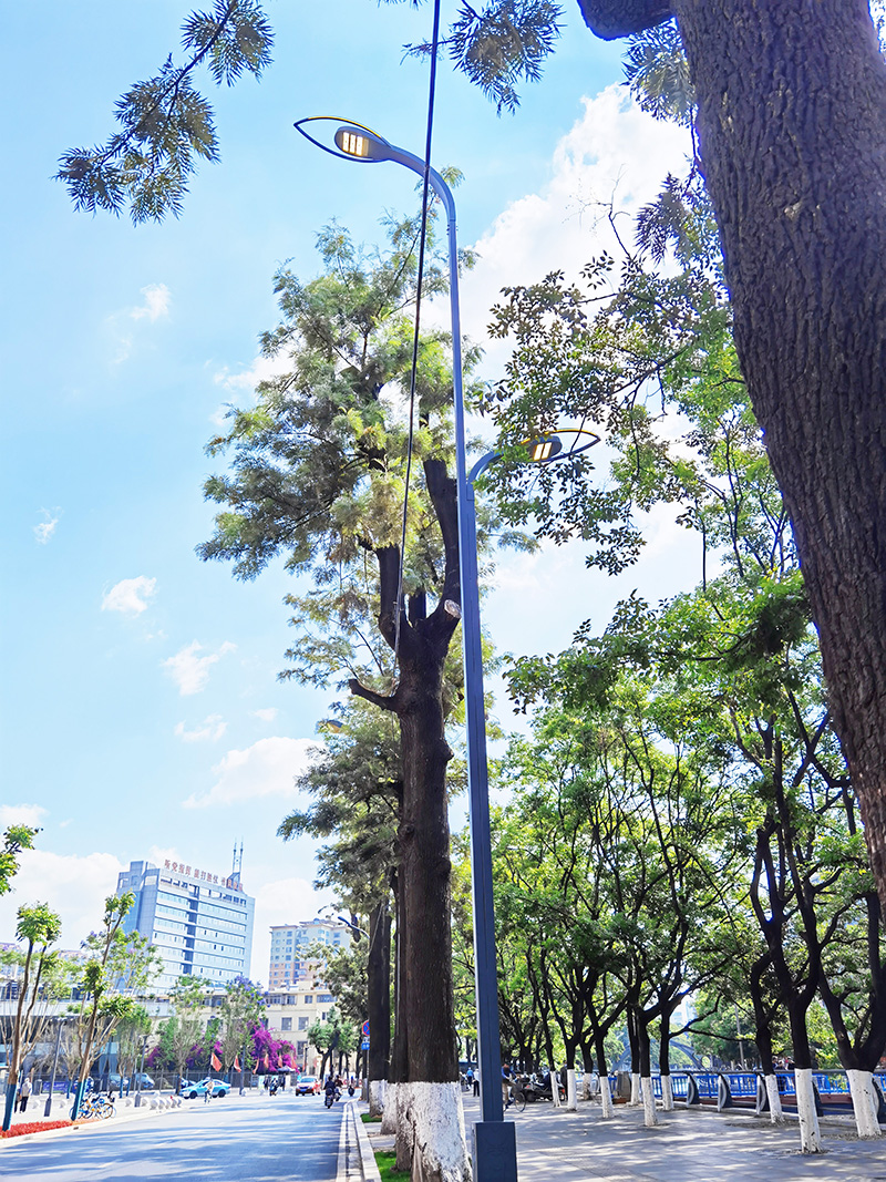 景观路灯  厂家