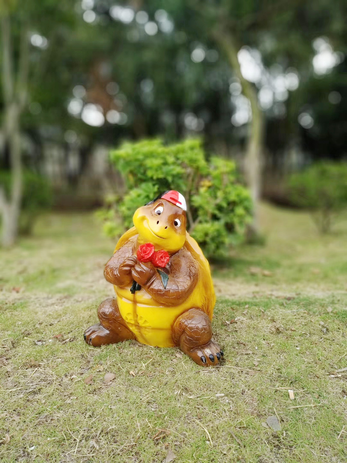 乌龟  价格