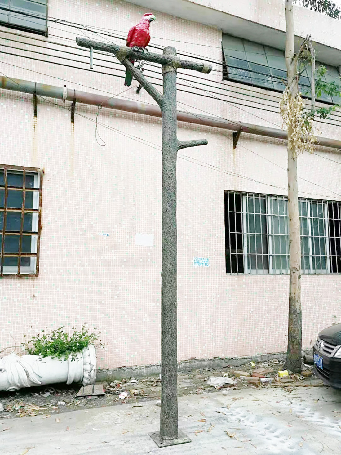 鹦鹉灯  定制