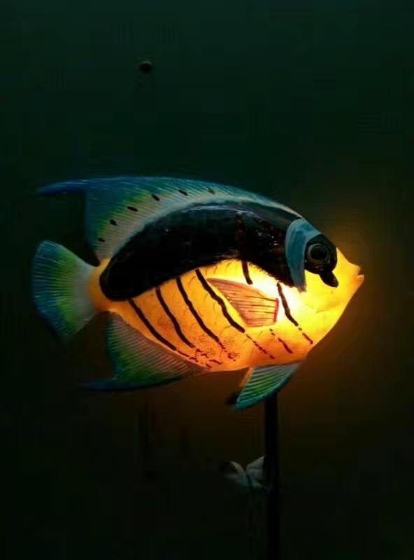 鱼  批发
