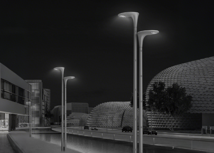 红掌太阳能庭院灯